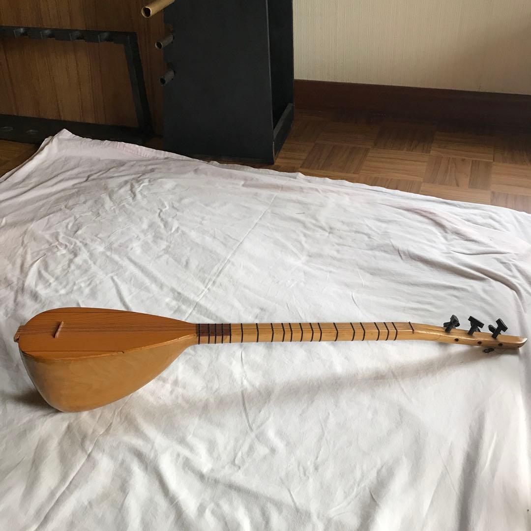 外国の撥弦楽器