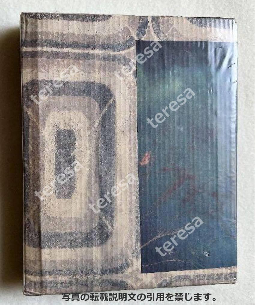 未開封新品　春光乍洩ブエノスアイレス写真集　レスリー・チャン/トニー・レオン