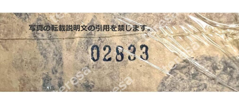 未開封新品　春光乍洩ブエノスアイレス写真集　レスリー・チャン/トニー・レオン