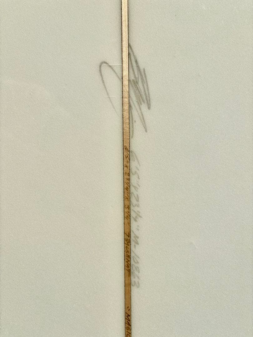 Mitsven surfboard フィッシュシモンズ 6’05”