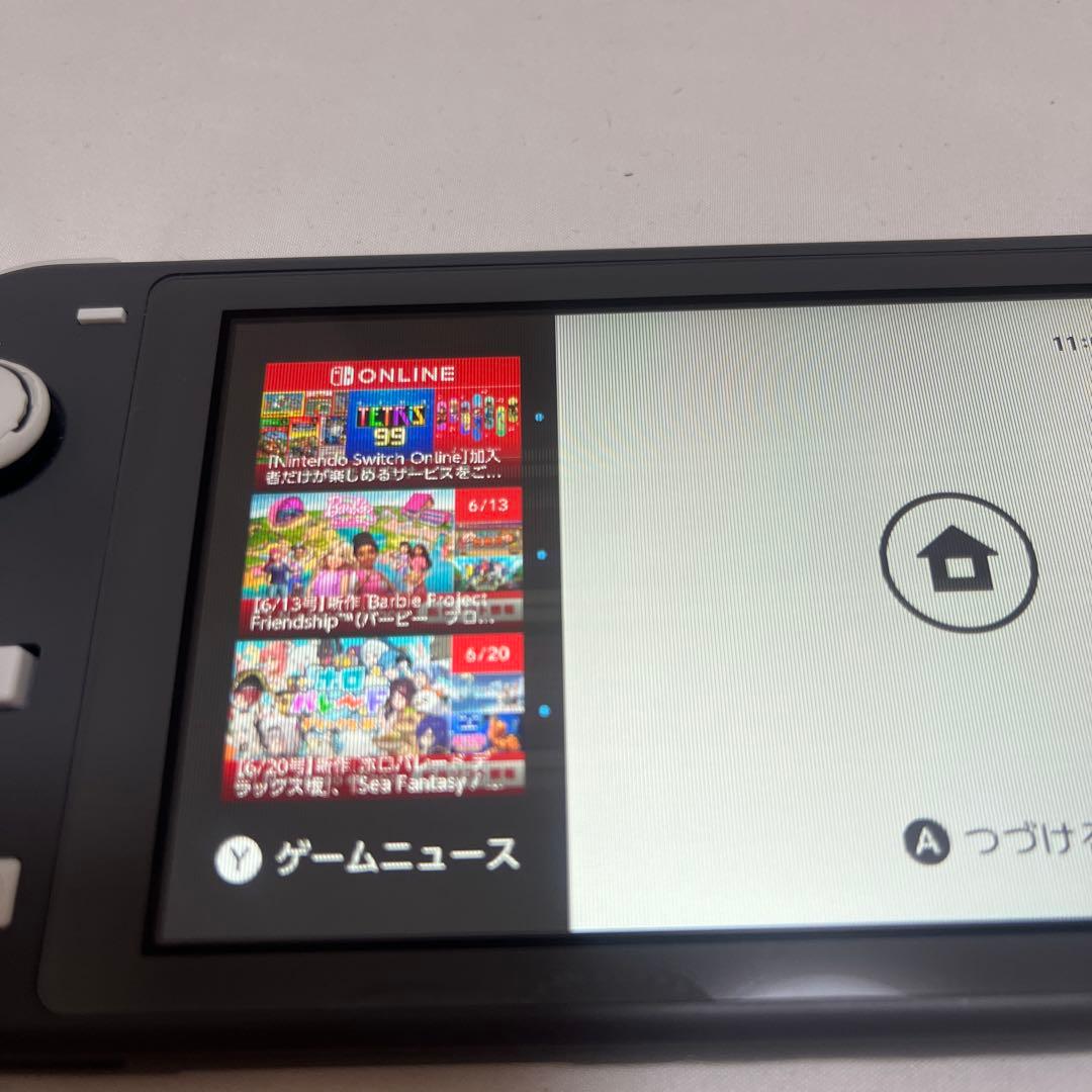 Nintendo Switch Light グレー 本体のみ 【ジャンク品】