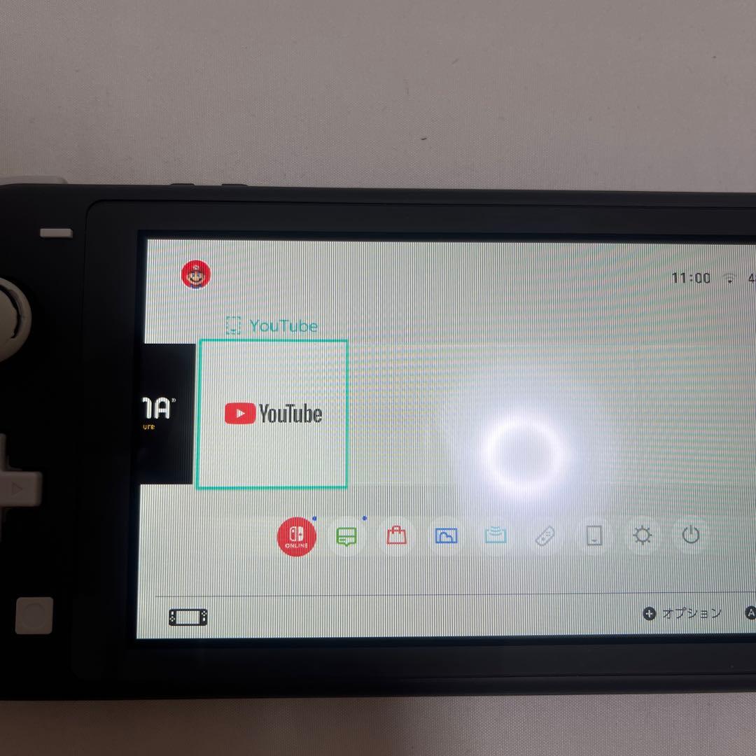 Nintendo Switch Light グレー 本体のみ 【ジャンク品】
