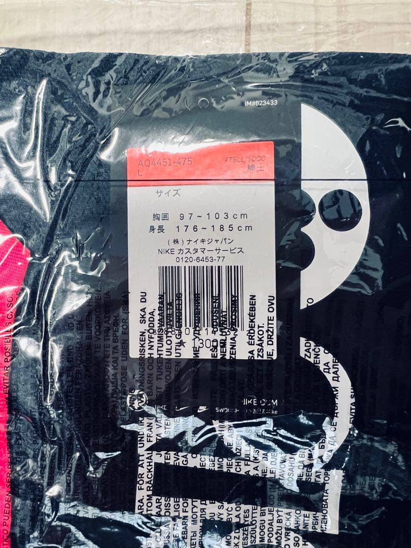 【超希少】鹿島アントラーズ 2019 2ndユニフォーム Lサイズ No.10