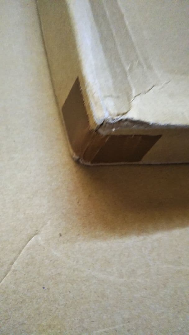 ✴️特別価格【原画】『夢幻界侵入者』（猫　犬　動物　絵画　パステル画　風景画）