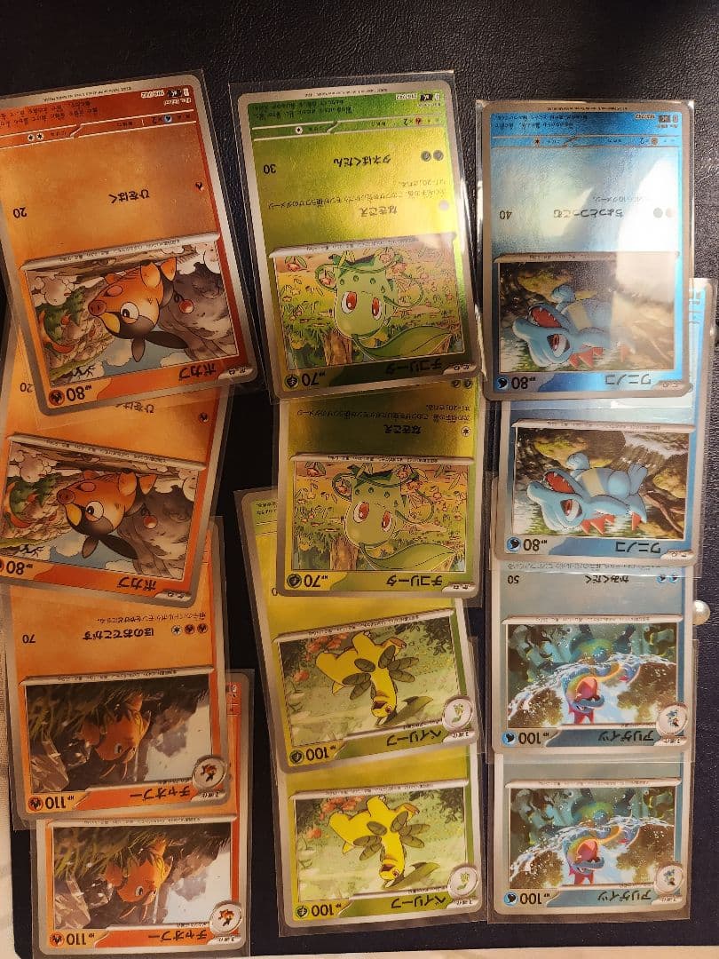 スタートデッキ　101　御三家　メガニウム　オーダイル　エンブオー　sar