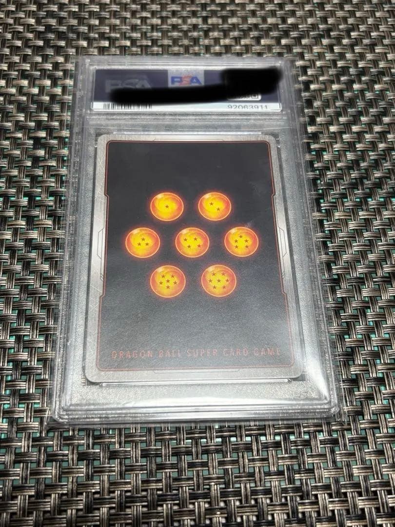 ギガンティックミーティア　墨絵　PSA10