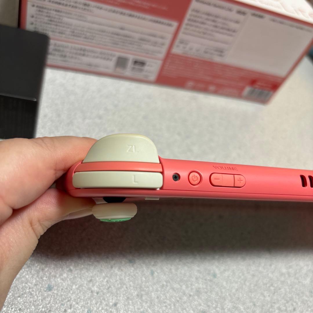 Nintendo Switch Lite本体