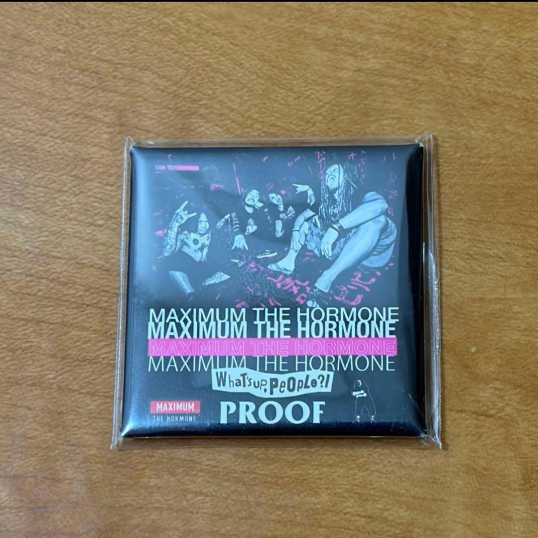 マキシマム ザ ホルモン PROOFセット