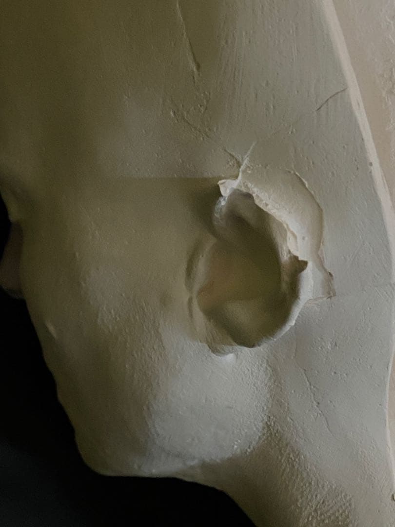 ライフキャスト ライフマスク ナタリーポートマン レオン スターウォーズ