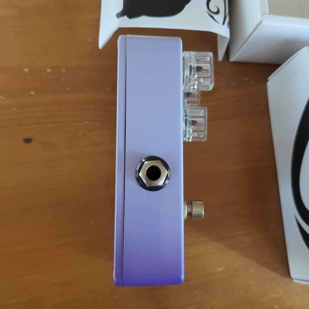 ギター Vivie WildCat