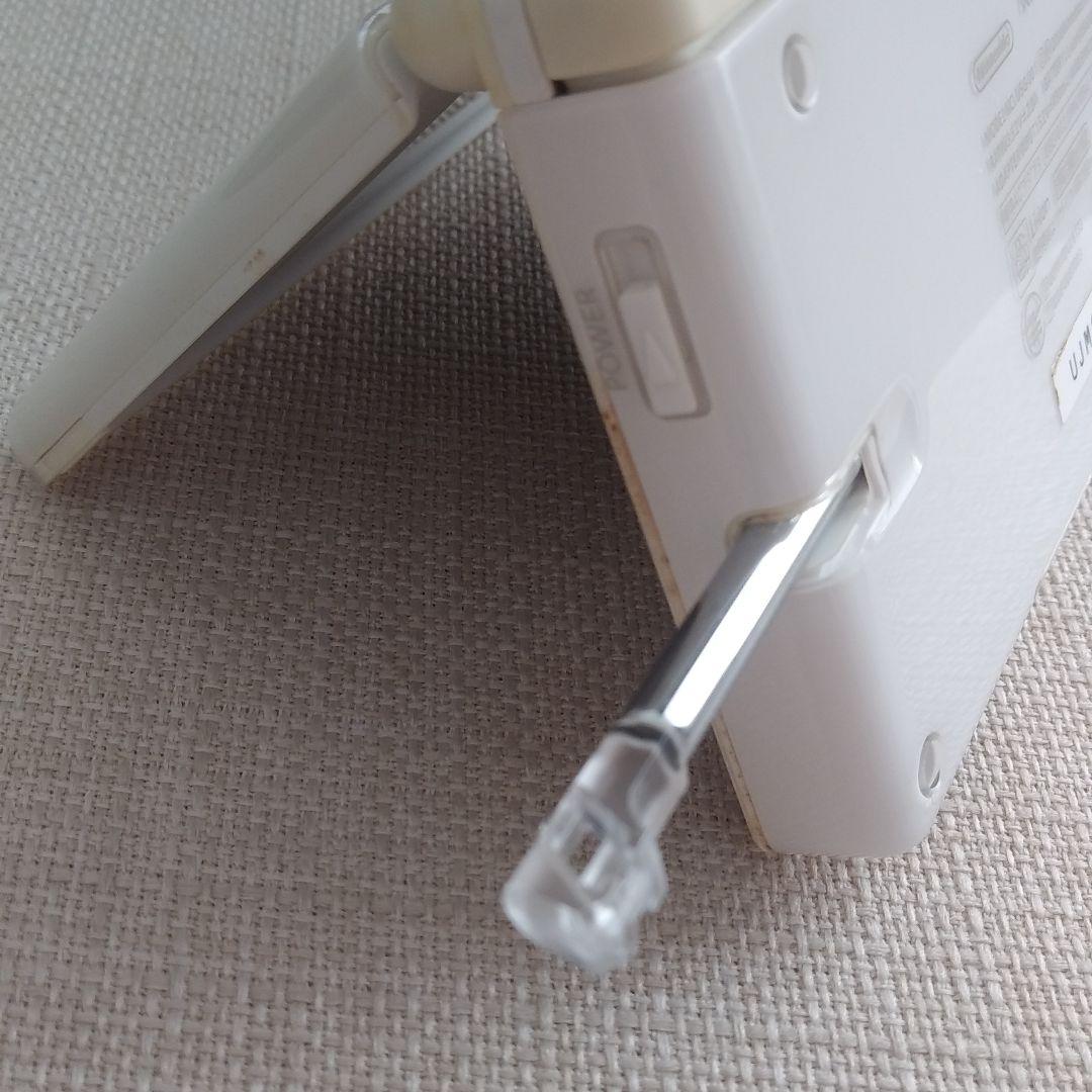 ニンテンドーDS 本体　どうぶつの森　セット