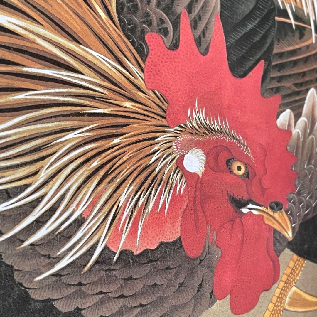 伊藤若冲　大全　京都国立博物館　小学館