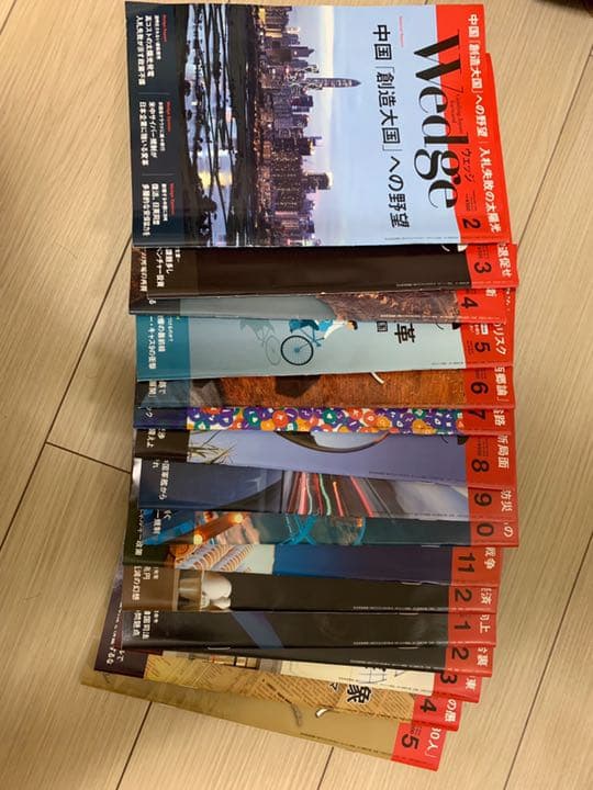 ナショナルジオグラフィックwedgeDAYS