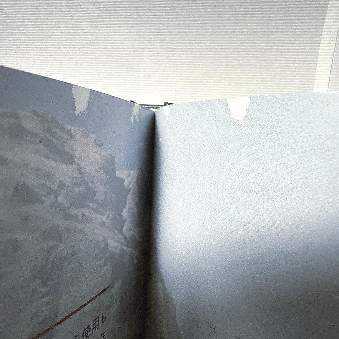 ティランジアハンドブック 改訂版 清水秀男 滝沢弘之 カバー付 【美品】