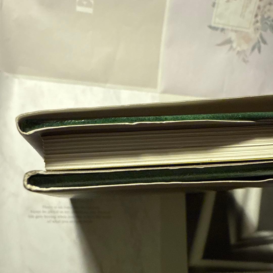 ティランジアハンドブック 改訂版 清水秀男 滝沢弘之 カバー付 【美品】