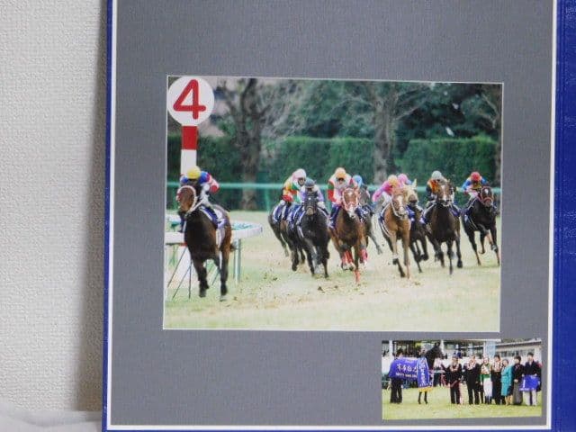 シンボリクリスエス　第47回有馬記念実況放送付アルバム　2002　オリビアペリエ