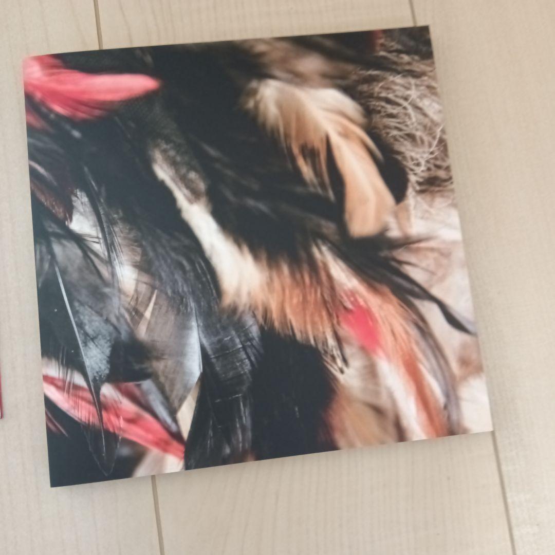 アイナ・ジ・エンドの「帰巣本能」【初回生産限定盤】