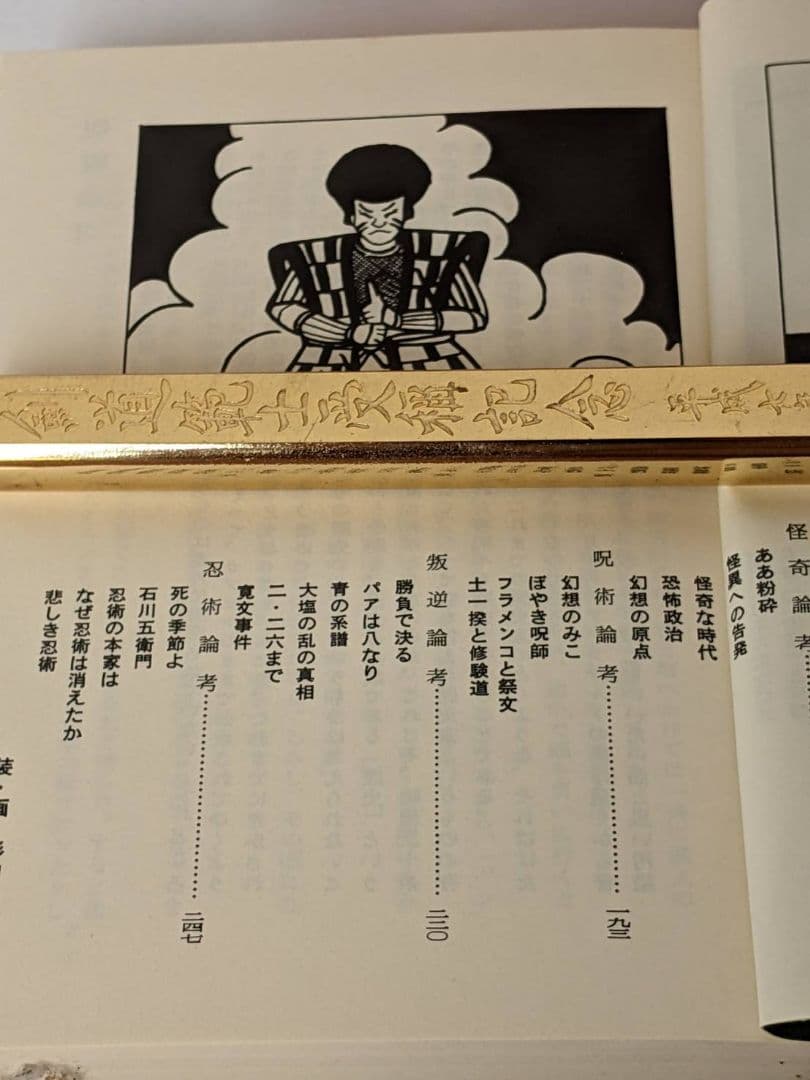 忍術 論考
