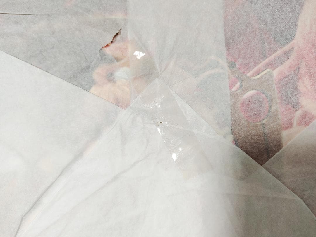 【未開封】マクロスF 劇場版イツワリノウタヒメ　シェリル・ノーム