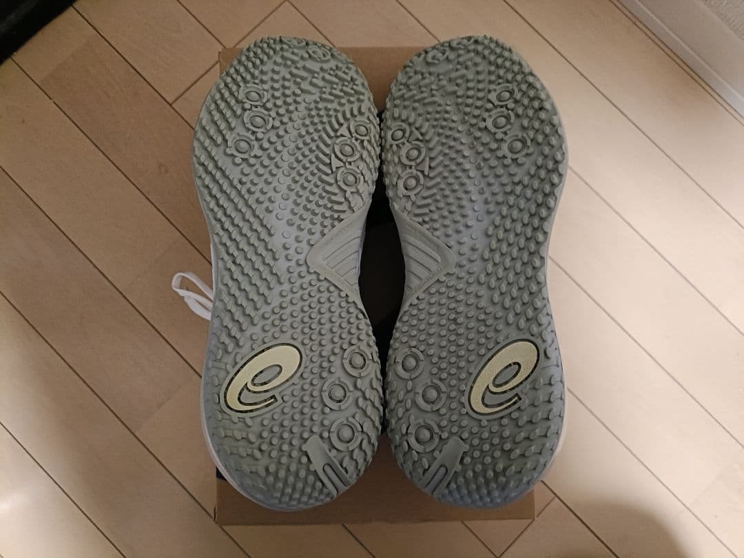 アシックス GEL-RESOLUTION X OC WIDE 26.5