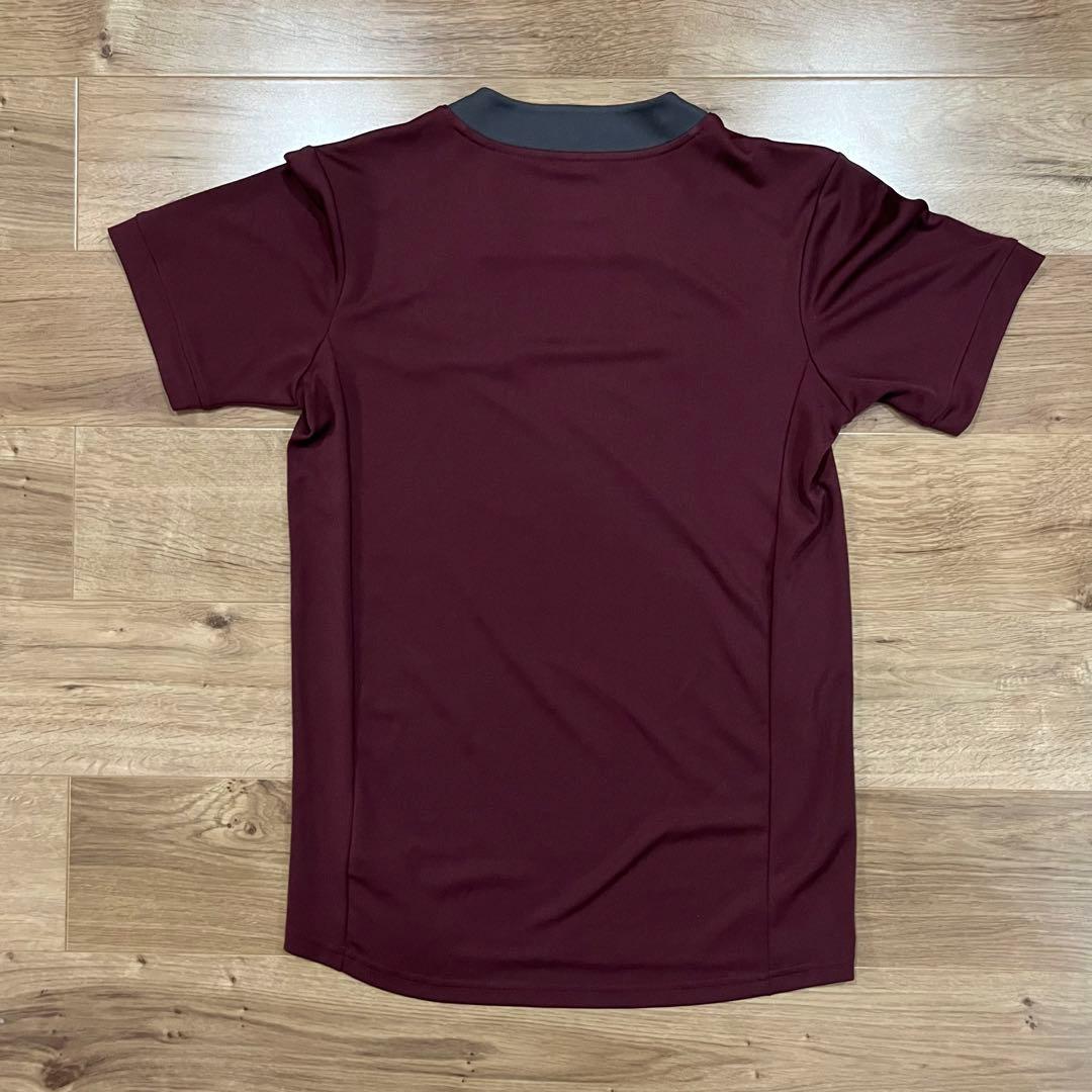 ラグビー 南アフリカ スプリングボクス トレーニングジャージ 海外S