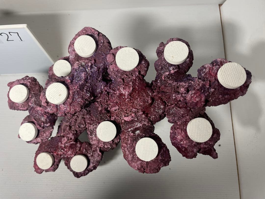 【送料無料】人工ライブロック　PHR27／13穴加工　アク抜き済み安心塗料使用