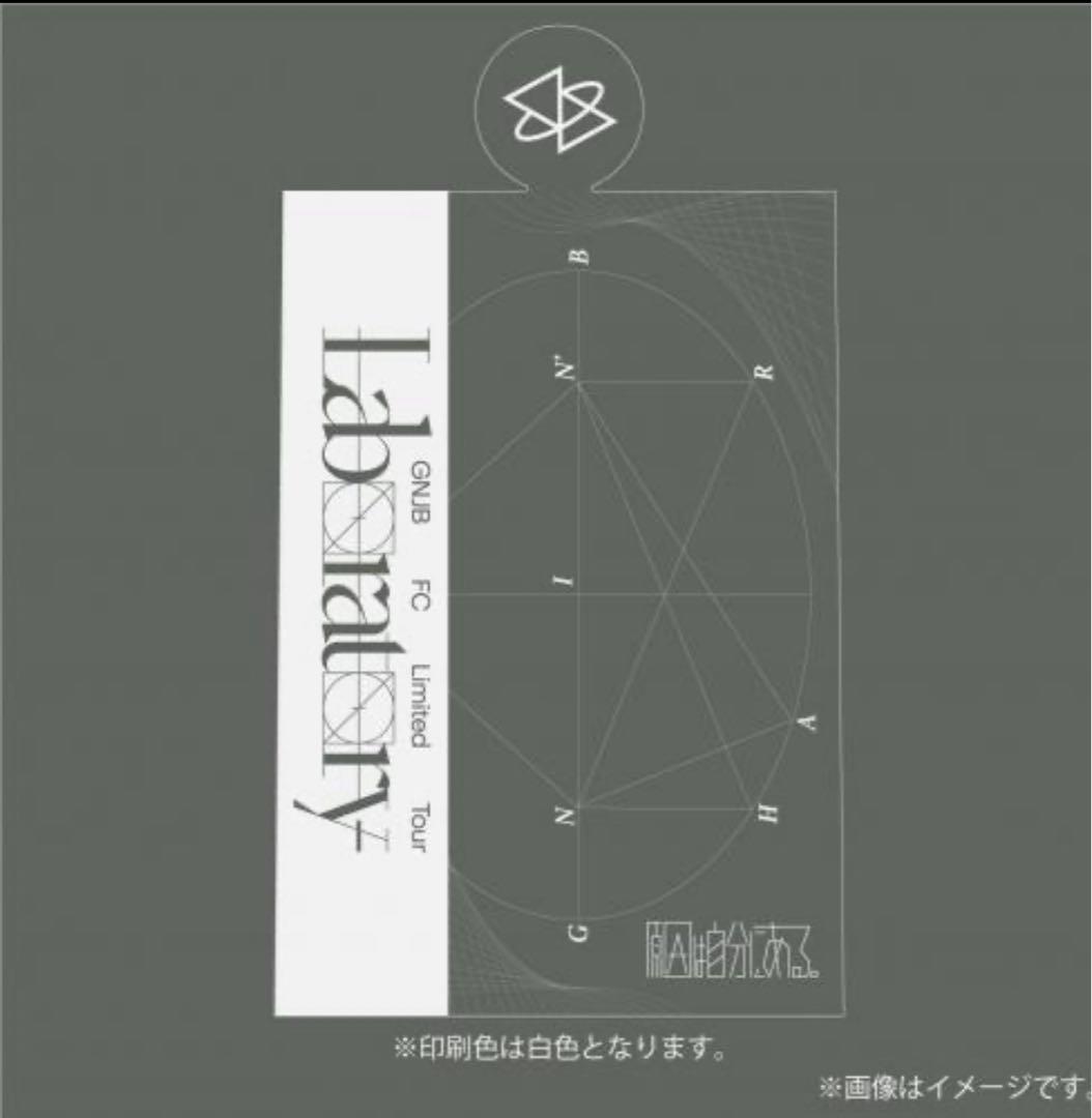 原因は自分にある。 単色ペンライト 【Laboratory ver.5 白】
