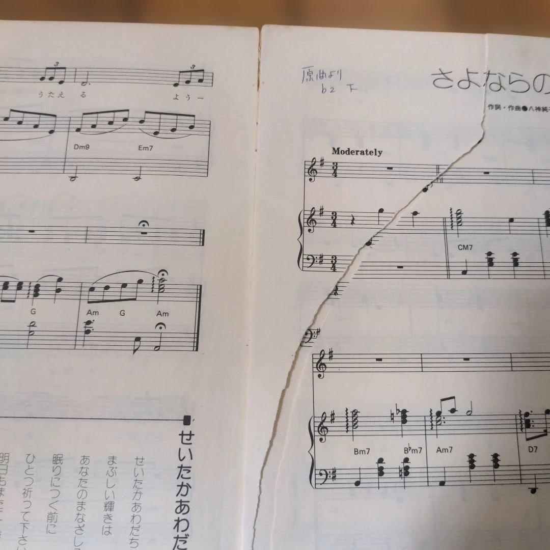 八神純子の世界