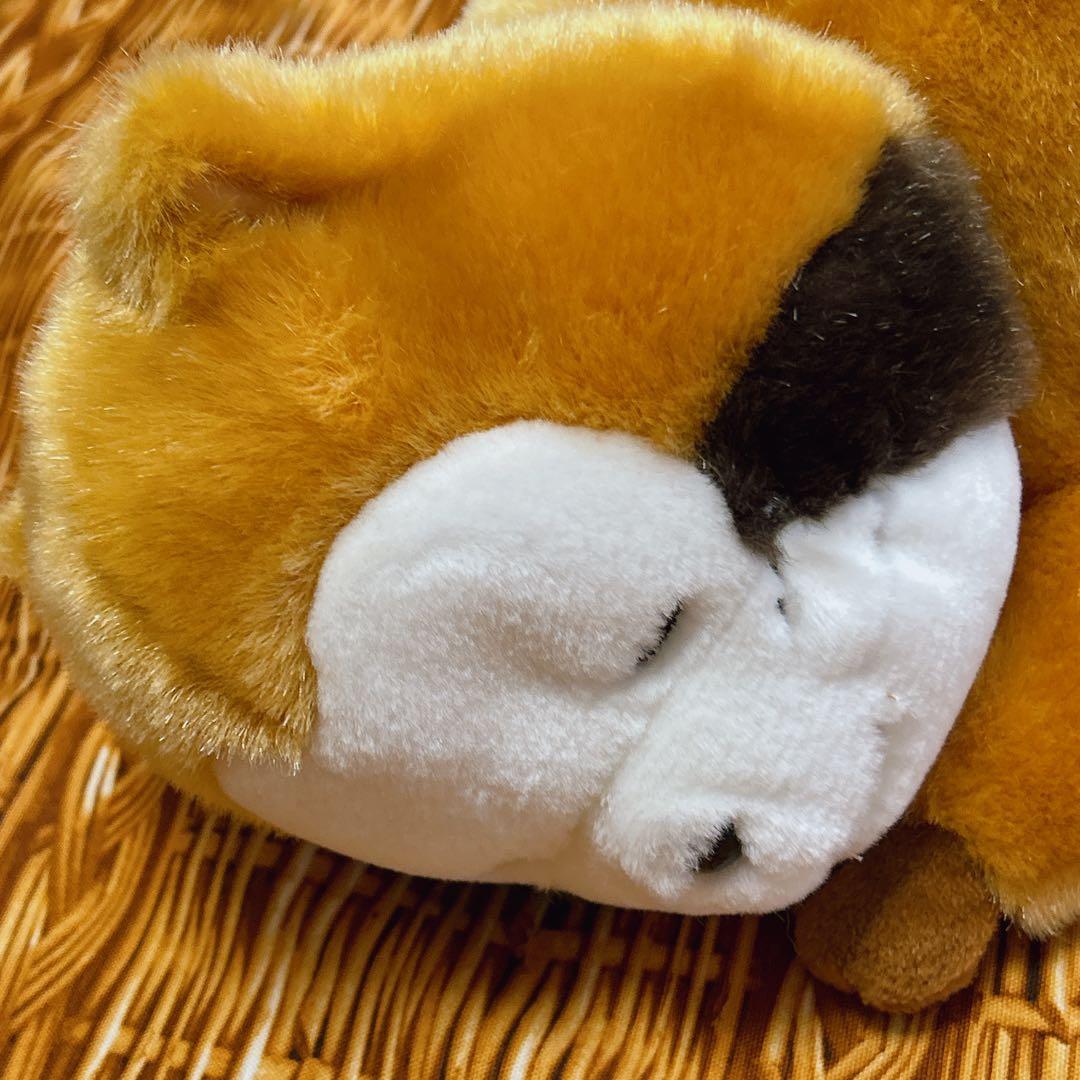 あらいぐま ラスカル おねむりラスカル 大きな ぬいぐるみ セキグチ BIG