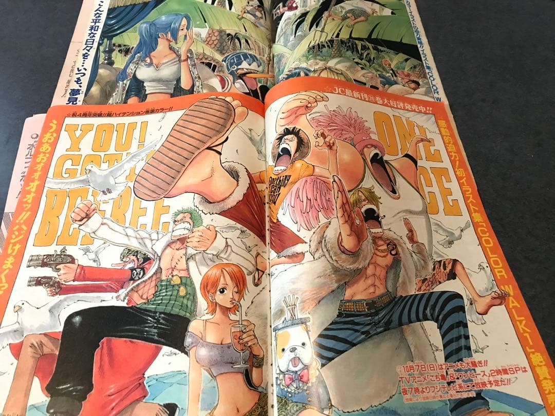 ワンピース　切り抜き　抜有　少年ジャンプ　one piece  尾田栄一郎