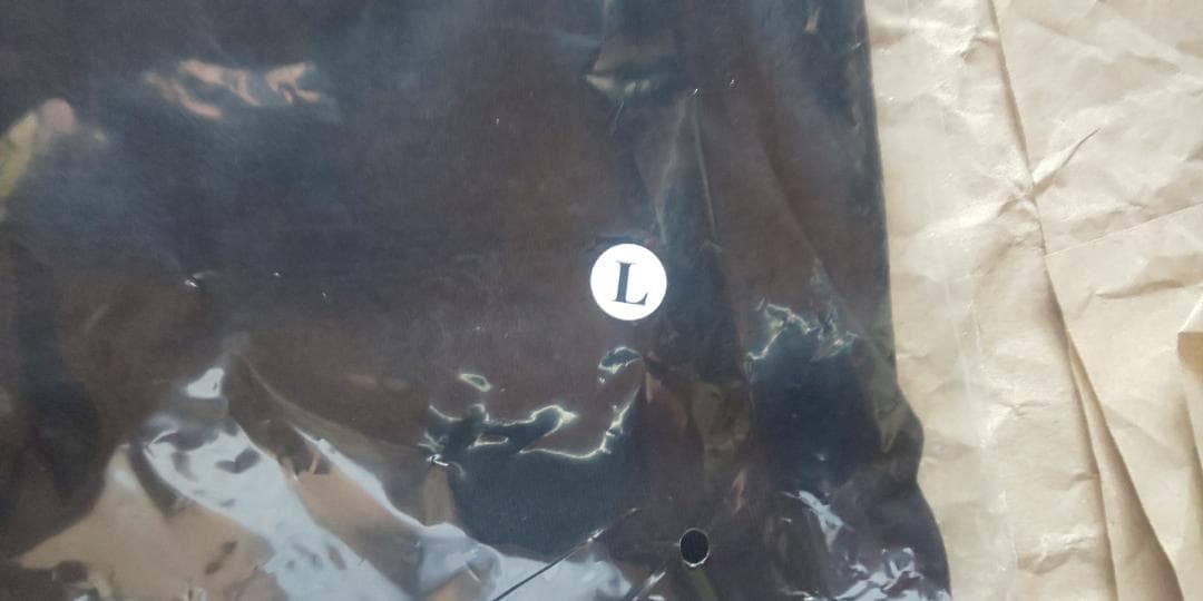 新未 花冷え。×GALFYコラボ犬Tシャツ２匹目　中型犬Ｌ　春の大解放祭2025