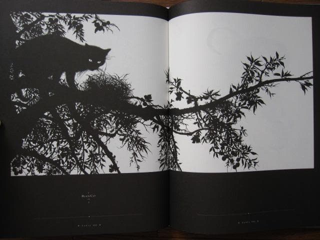 画集　VANIA　Vania Zouravliov