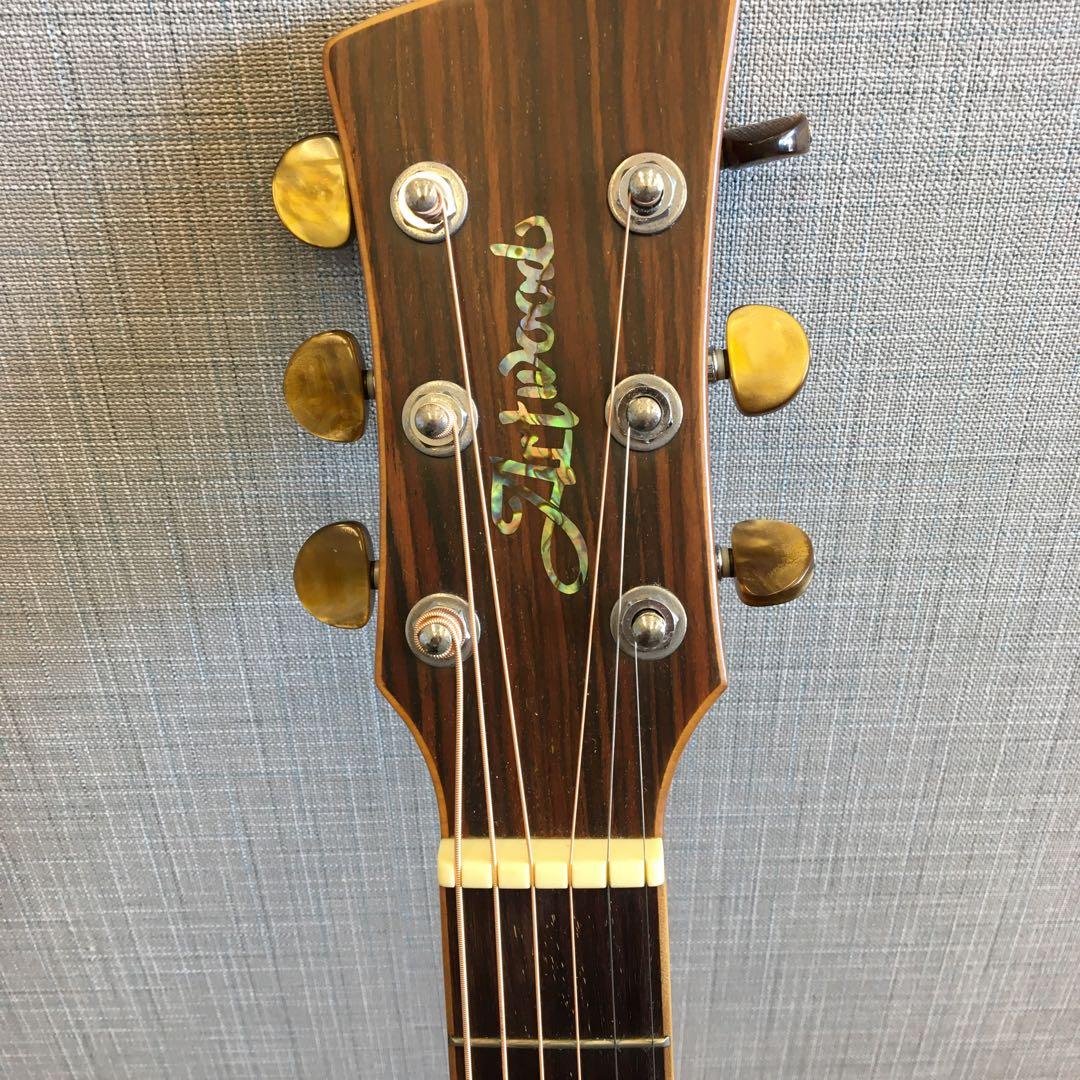 Artwood アコースティックギター　動作品