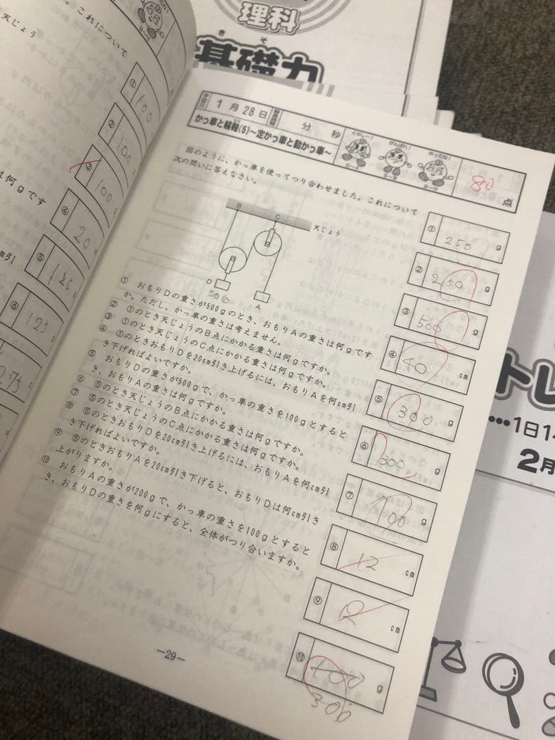 廃盤　サピックス５年理科基礎力トレーニング　年間12冊　2008年中古