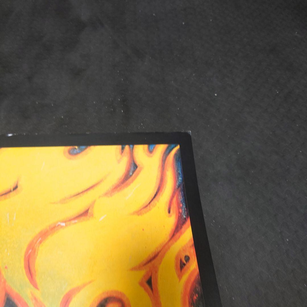 コレクション chaz bojorquez