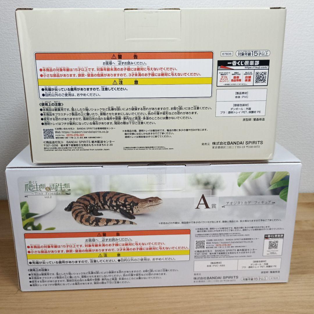 【一番くじ】爬虫類＆両生類 A賞 アオジタトカゲフィギュア　C賞ヘルマンリクガメ