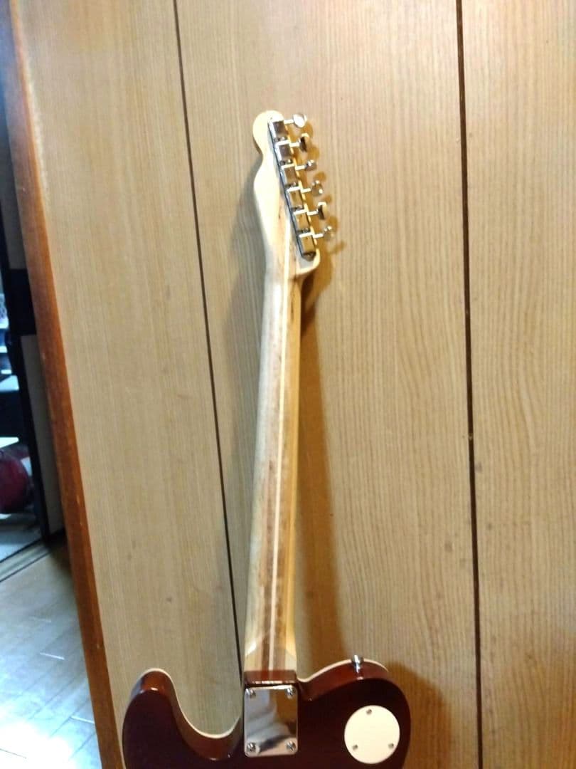 d*i様 テレキャスター