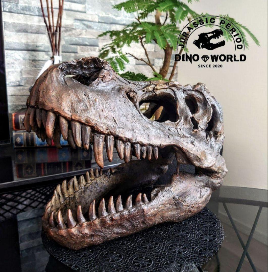 【お得なセット】ティラノサウルス トリケラトプス インテリア雑貨