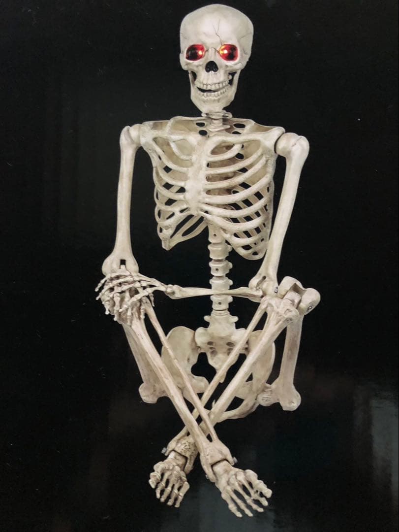 等身大　ガイコツ　スカル