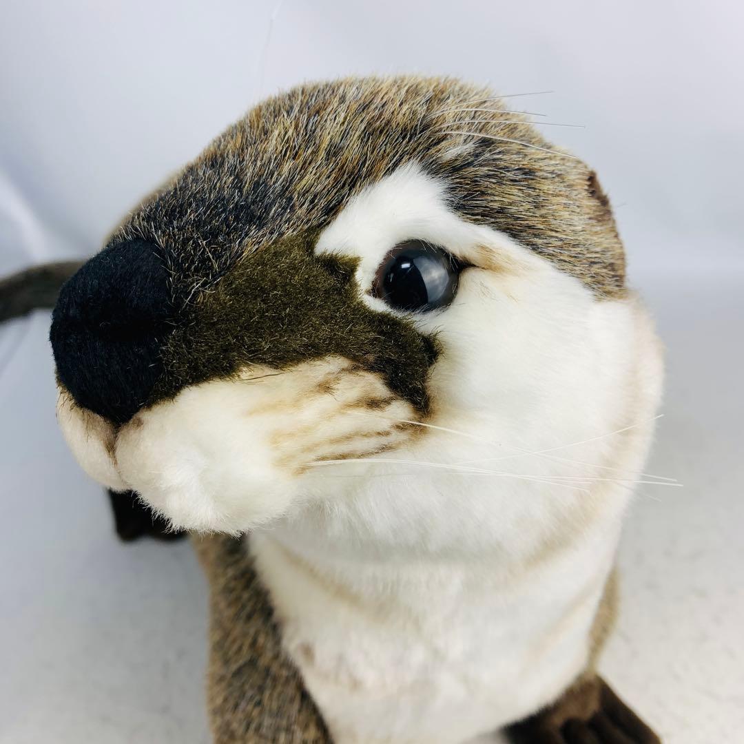 ハンサ ぬいぐるみ 3319 カワウソ かわうそ リアルアニマル 動物 獺