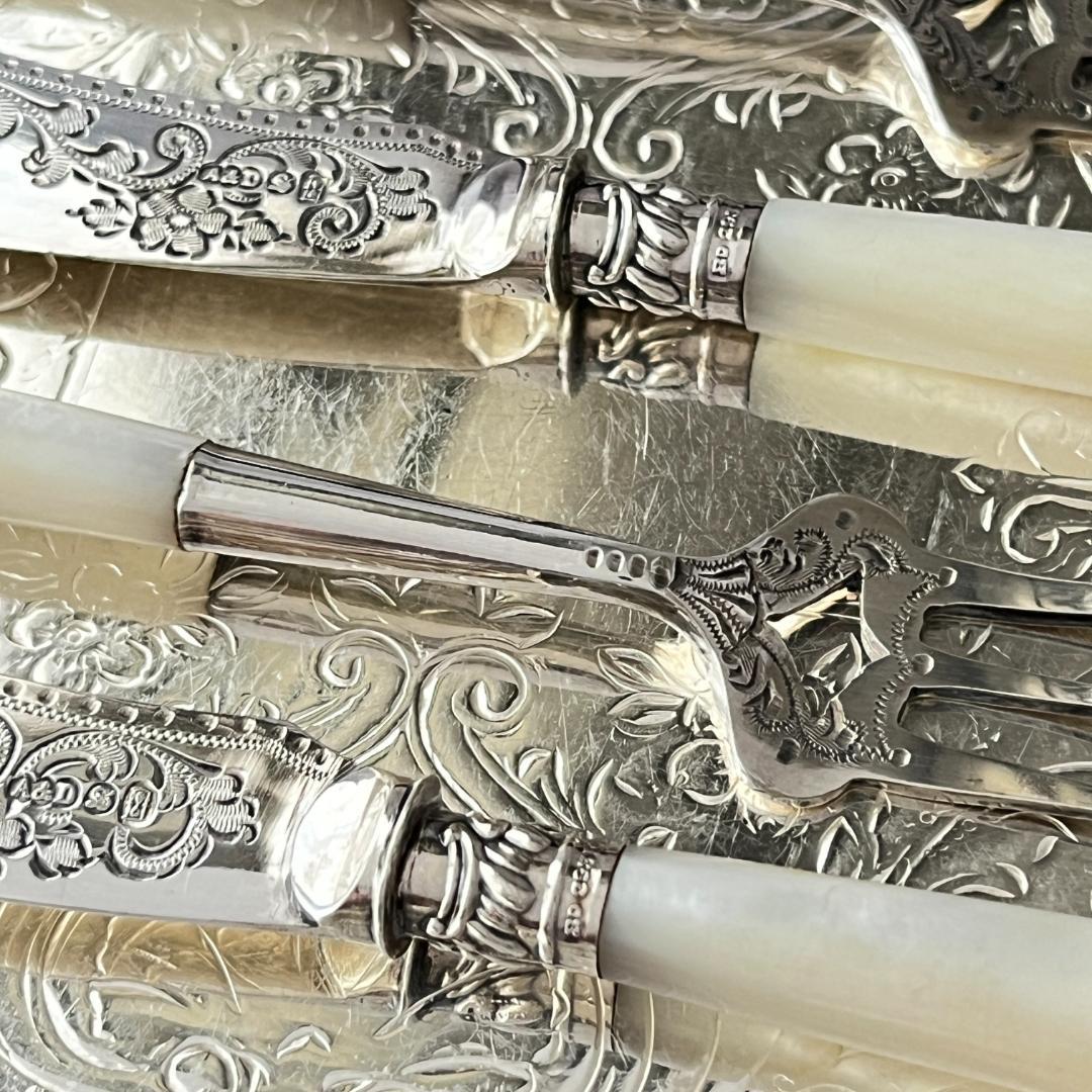 【Allen & Darwin】【白蝶貝】ミニサーバーセット 4本 ケース