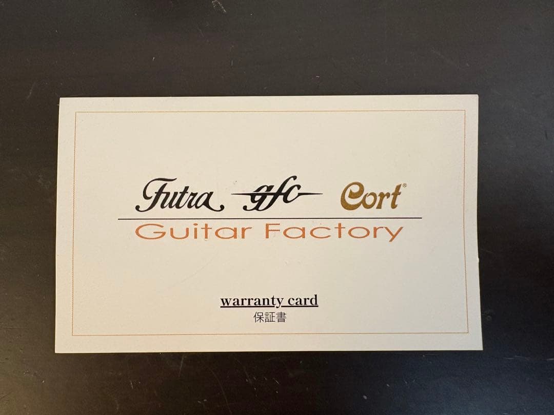 MULTIVERSE ギターエフェクター（ACアダプター付属）