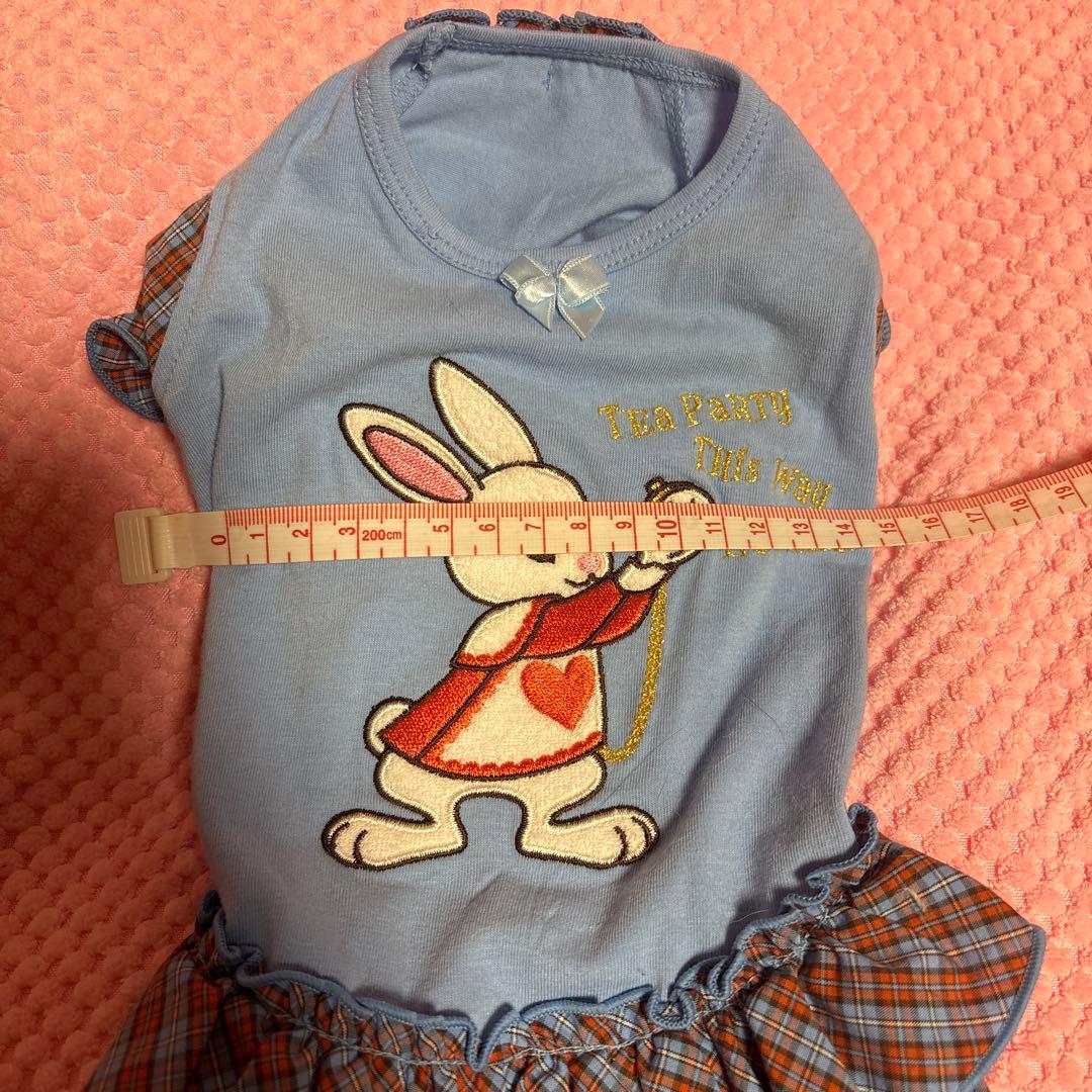 bul bu-bu ブルブブ　アリス　ウサギ刺繍の犬服 水色 チェックフリル