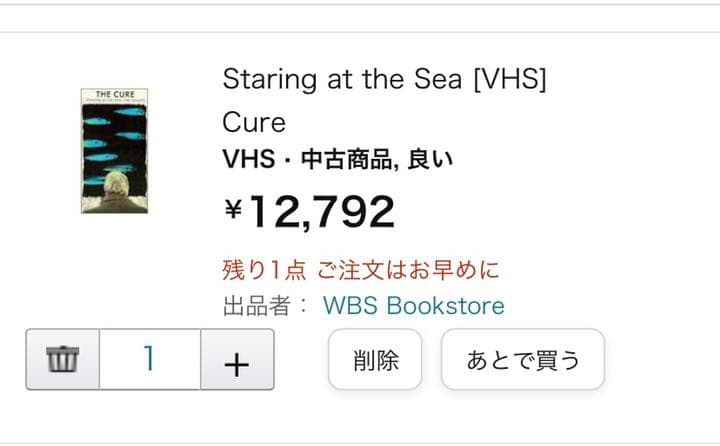 The Cure キュアー STARING AT THE SEA  ビデオテープ