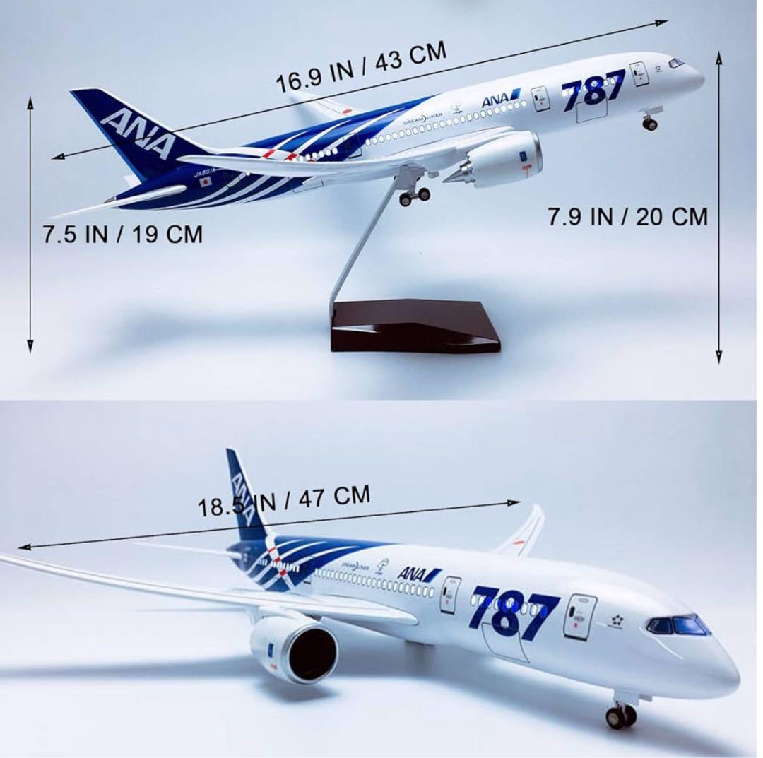 【専用】ANA B787 ボーイング1:130スケール ジェット機 ディスプレイ