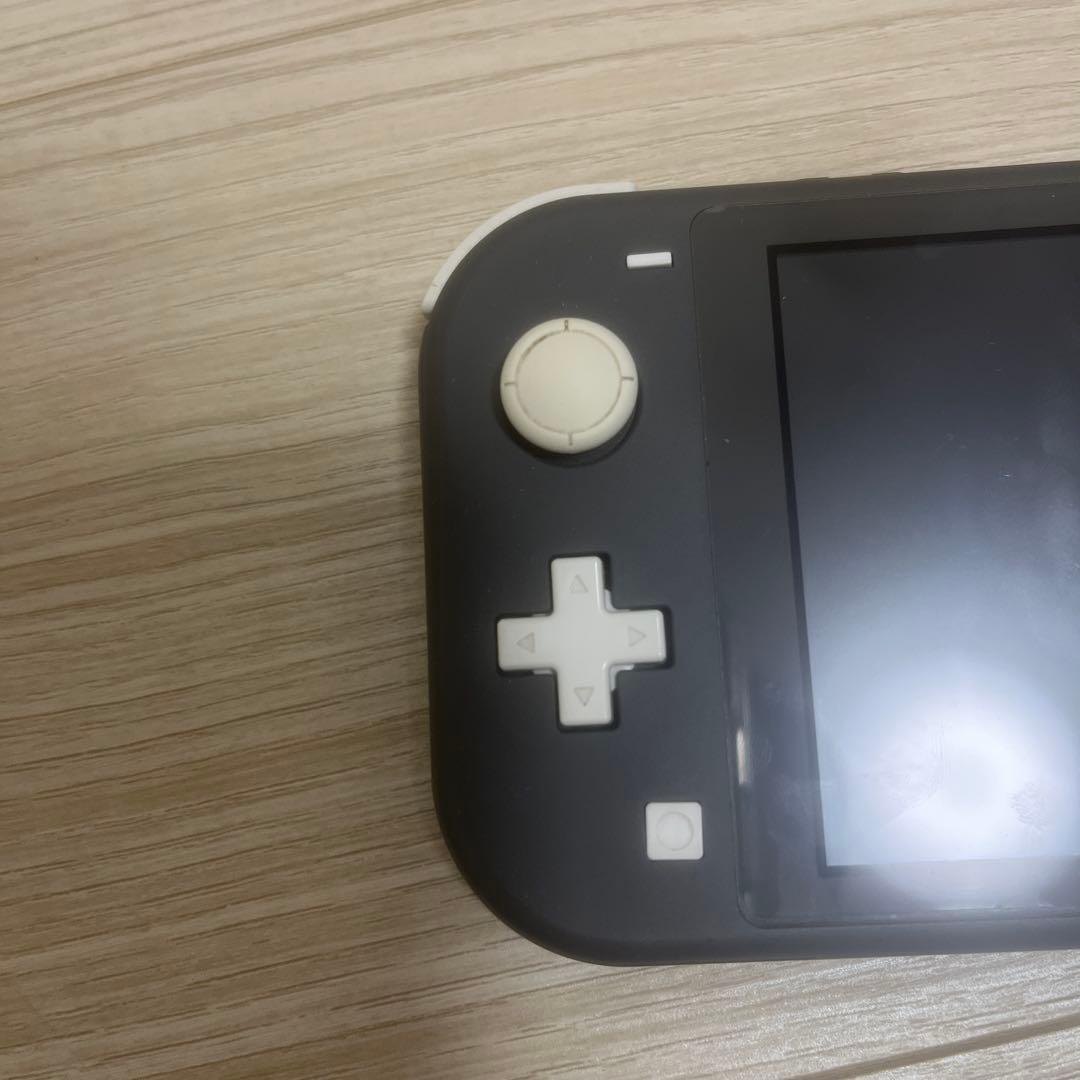 おいおいページNintendo Switch Lite グレー 本体