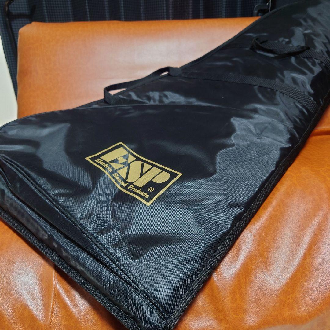 ギター LTD NINJA V