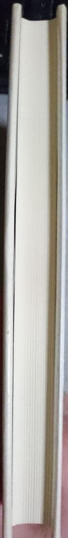 アメリカ未完のプロジェクト　リチャード・ローティ