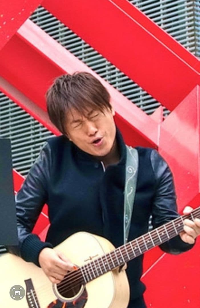 アコギSeagull + ピックアップ