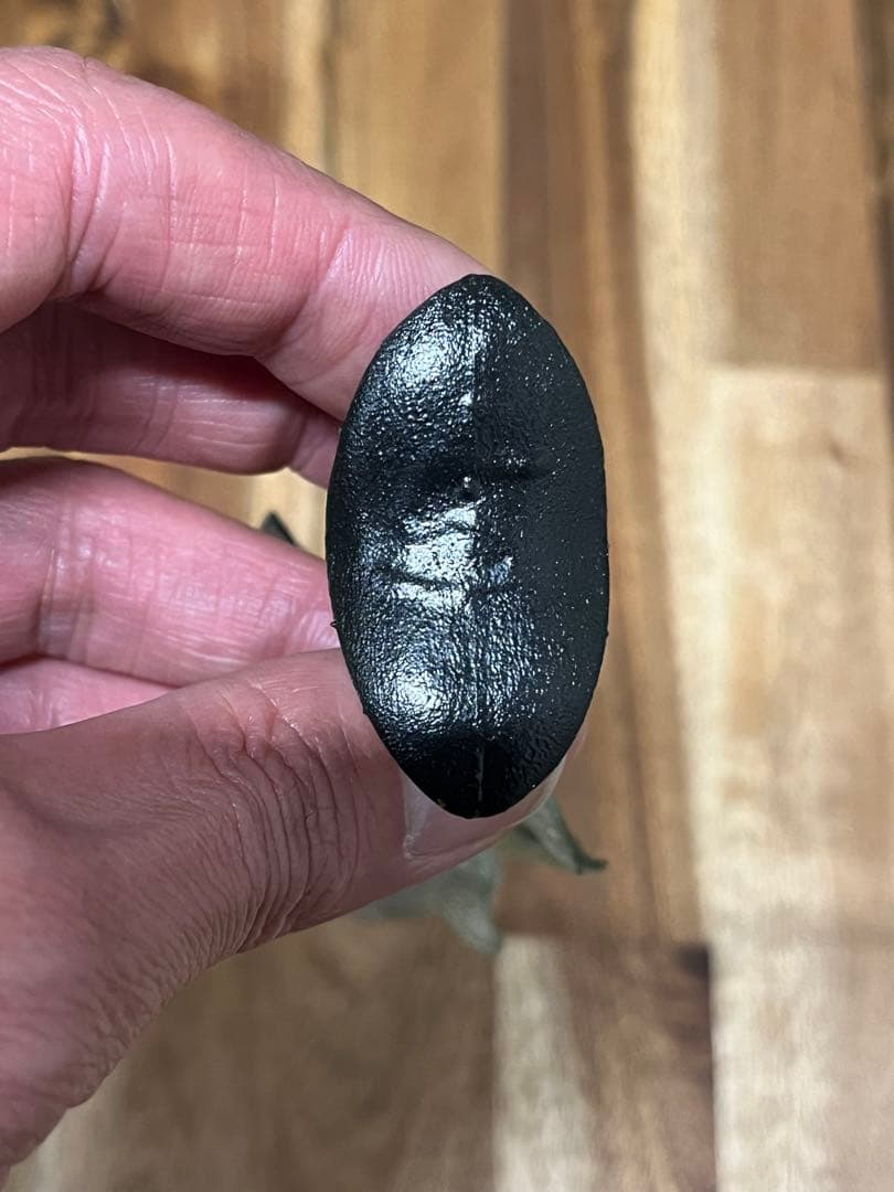 ハドルストン8インチROF-5 アユ